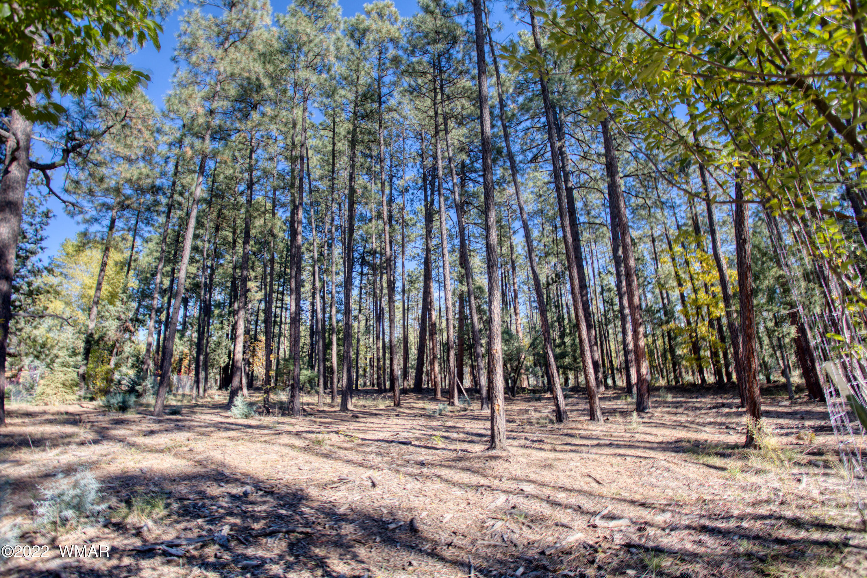 040D VALLERY Lane, Lakeside, AZ 85929