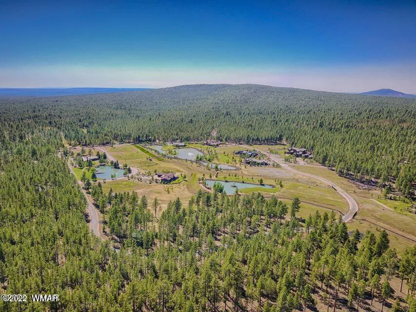 9579 Sierra Springs Drive, Pinetop, AZ 85935 — Photo 1 of 18