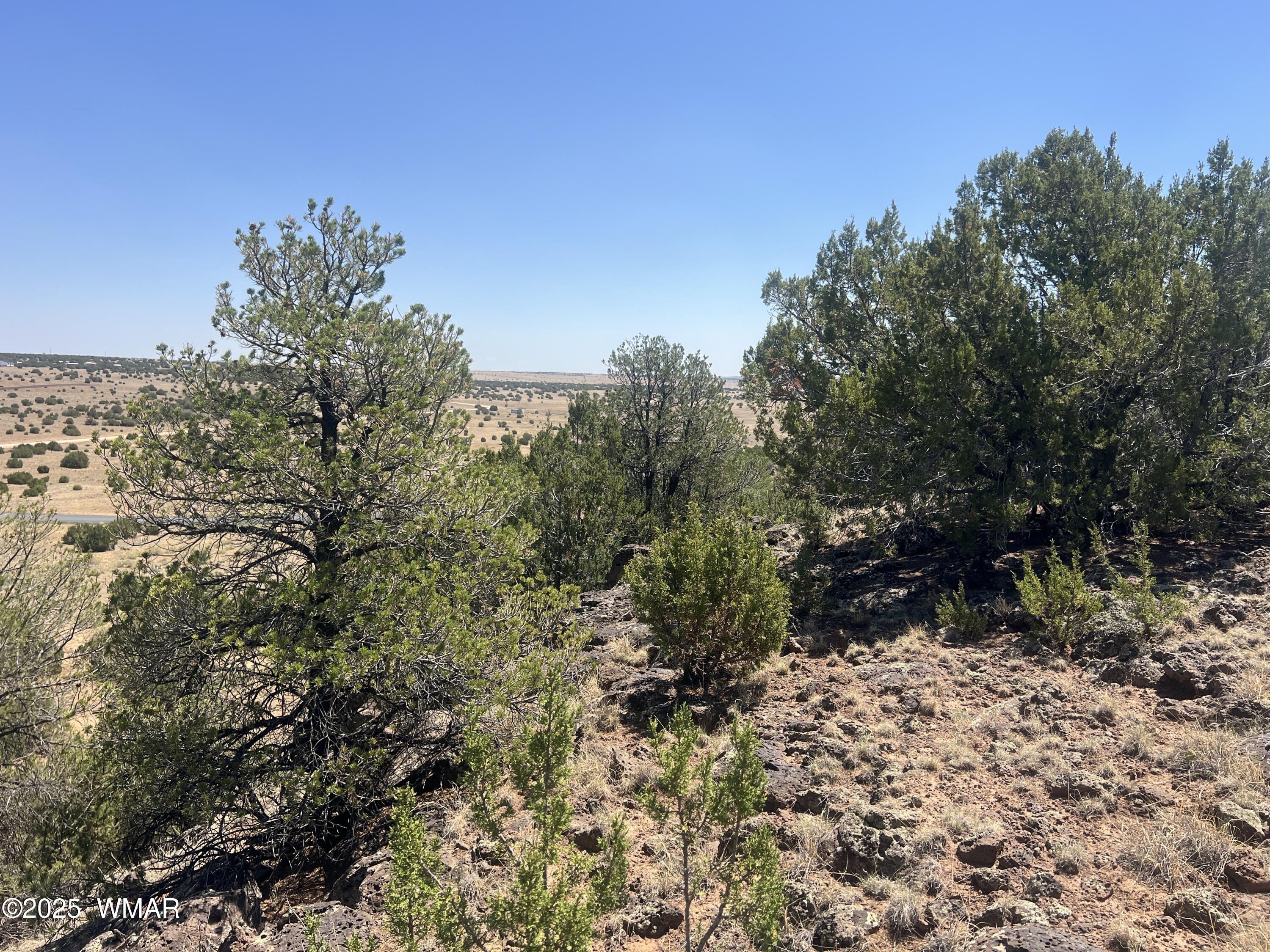 5 County Road, # 8095, Concho, AZ 85924 — Photo 1 of 15