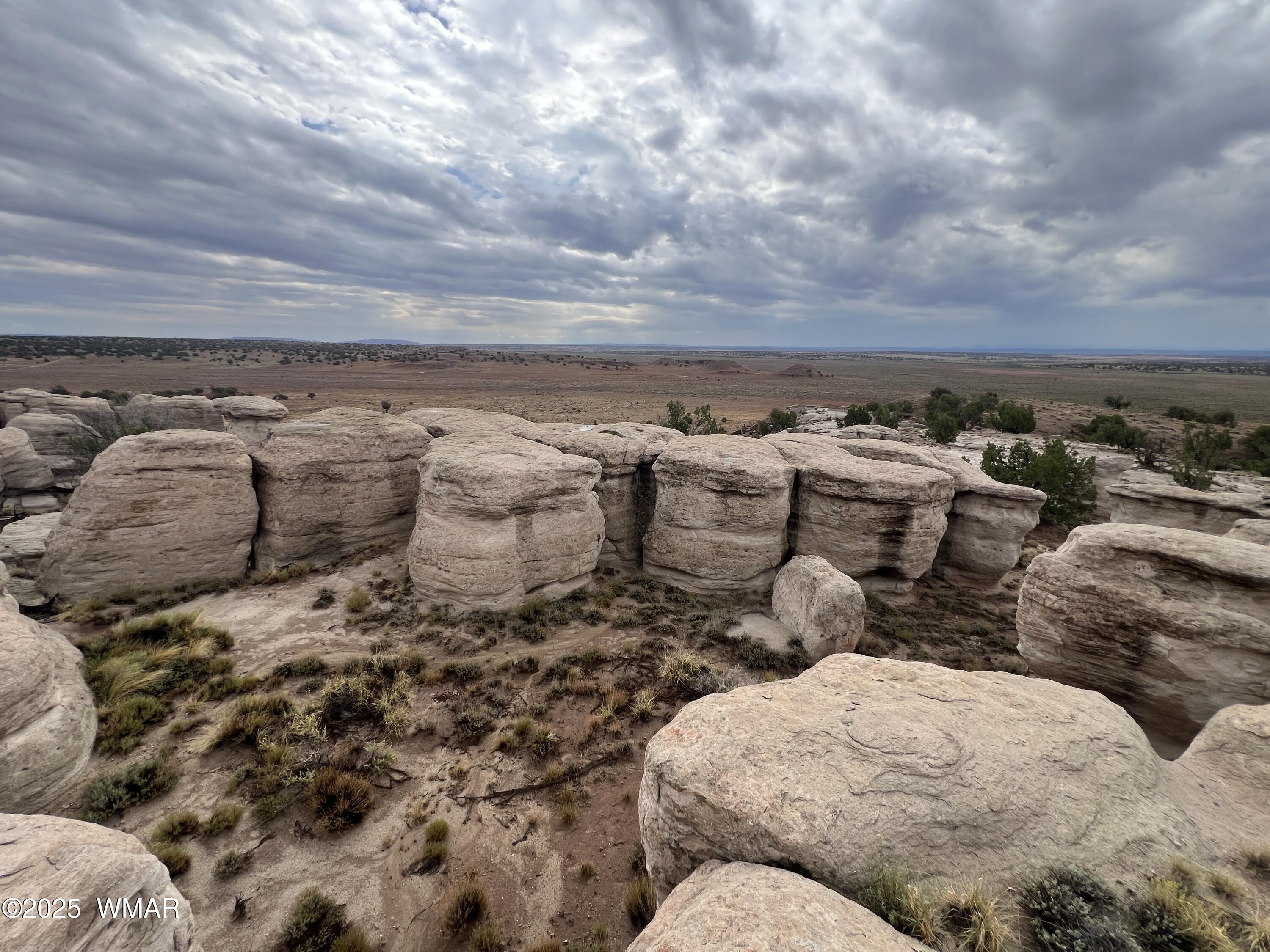 TBD (Lot 231) N9326, Concho, AZ 85924