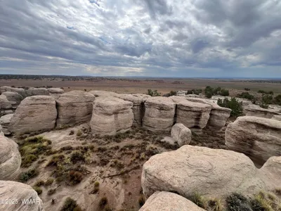 TBD (Lot 231) N9326, Concho, AZ 85924