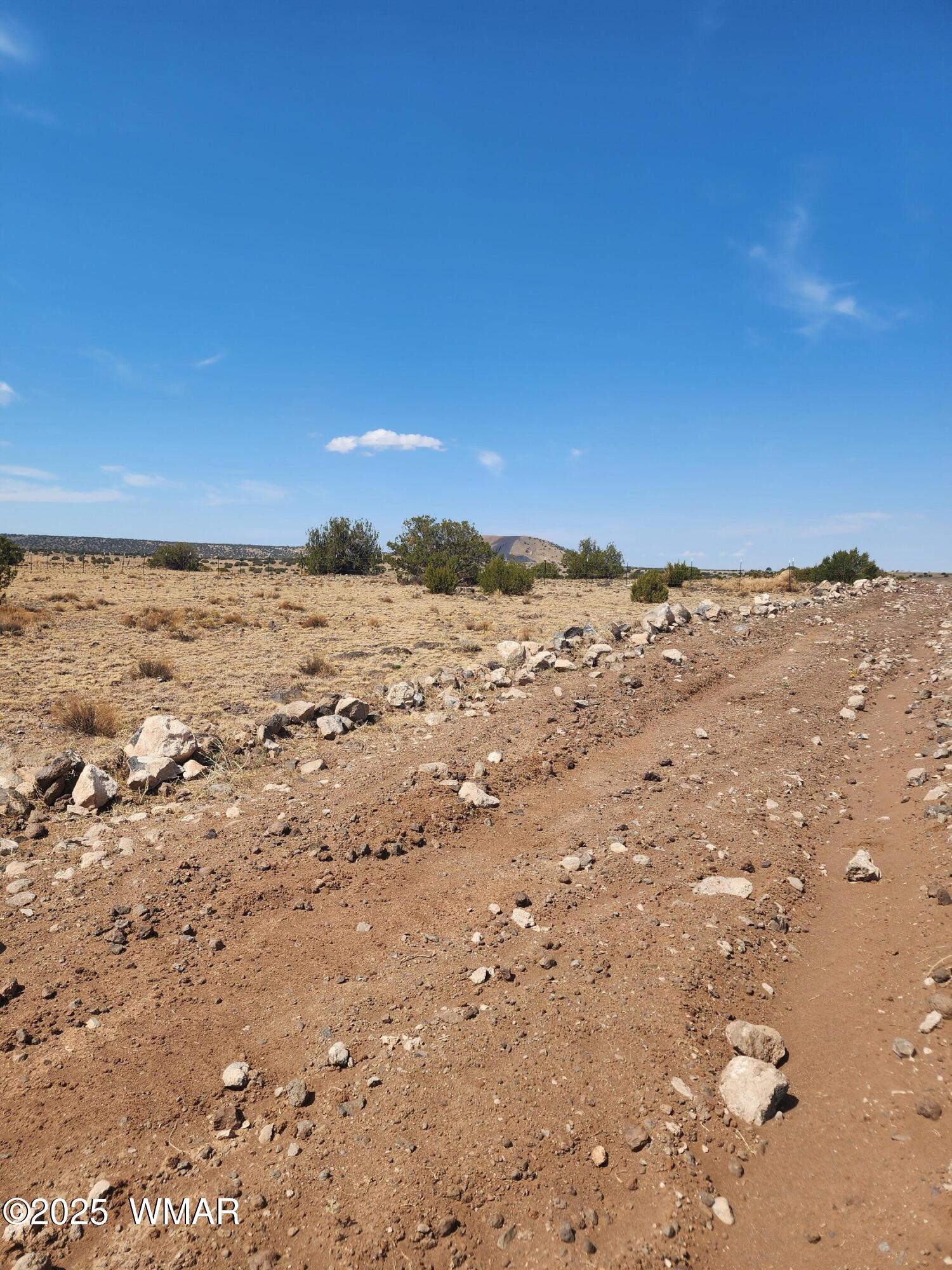 TBD 202C 6, Concho, AZ 85924