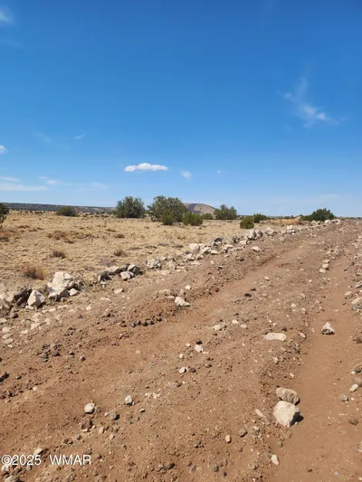 TBD 202C 6, Concho, AZ 85924