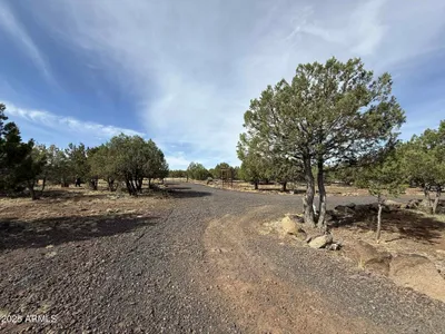 Thumbnail 37
