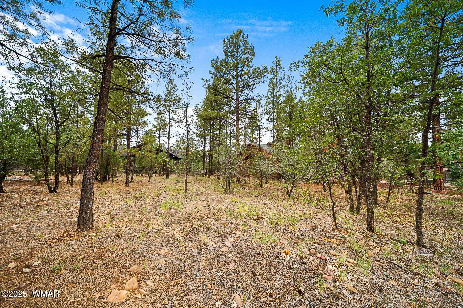 3331 W Tobasa Lane, Show Low, AZ 85901 — Photo 1 of 24