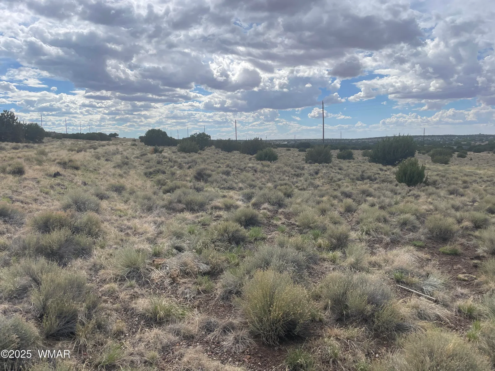 01 Aspen Drive, Concho, AZ 85924 — Photo 1 of 9