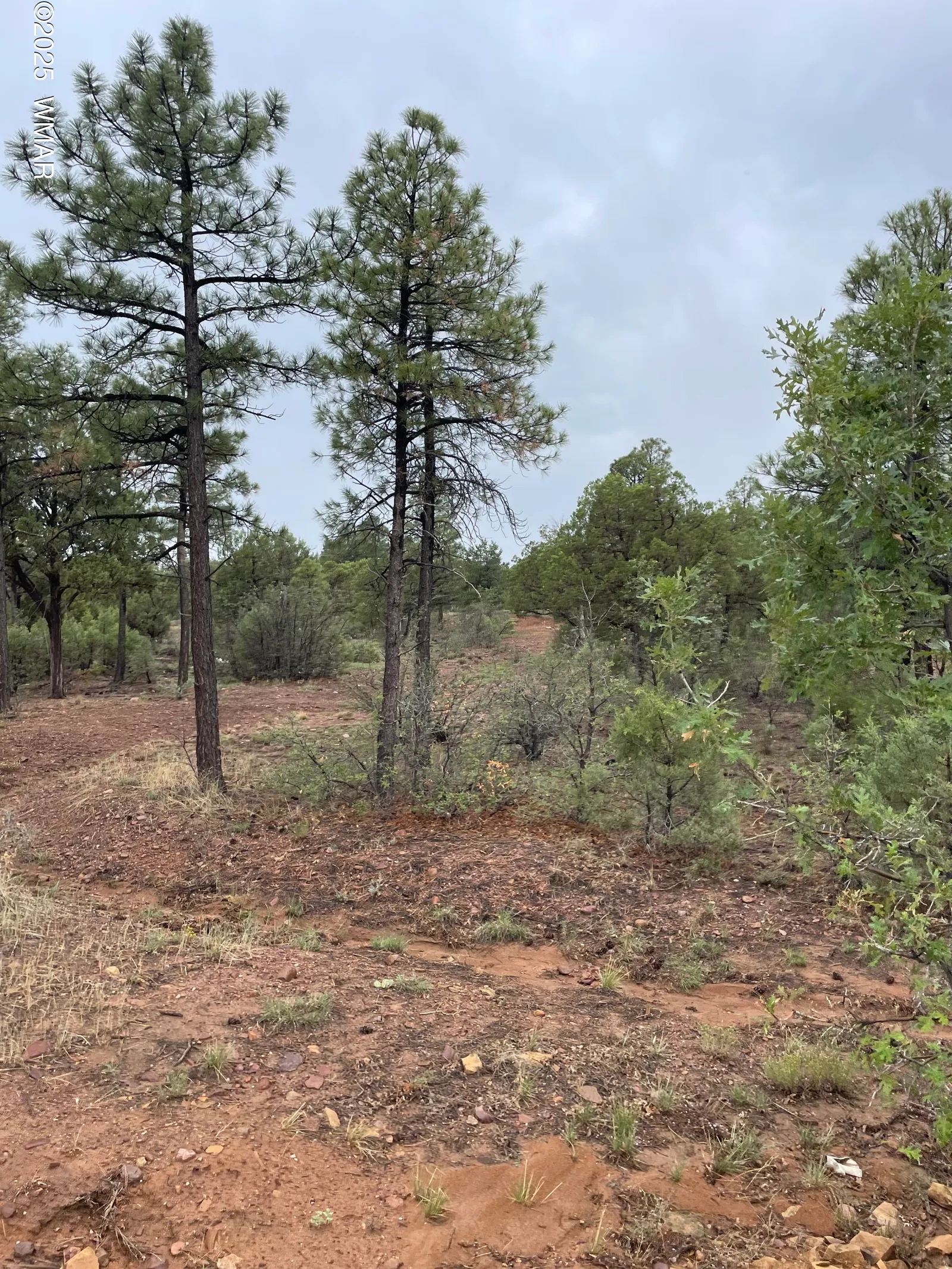 631 S Haven Drive, Show Low, AZ 85901 — Photo 1 of 4