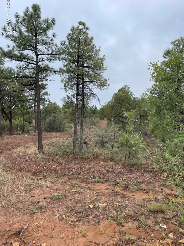 631 S Haven Drive, Show Low, AZ 85901