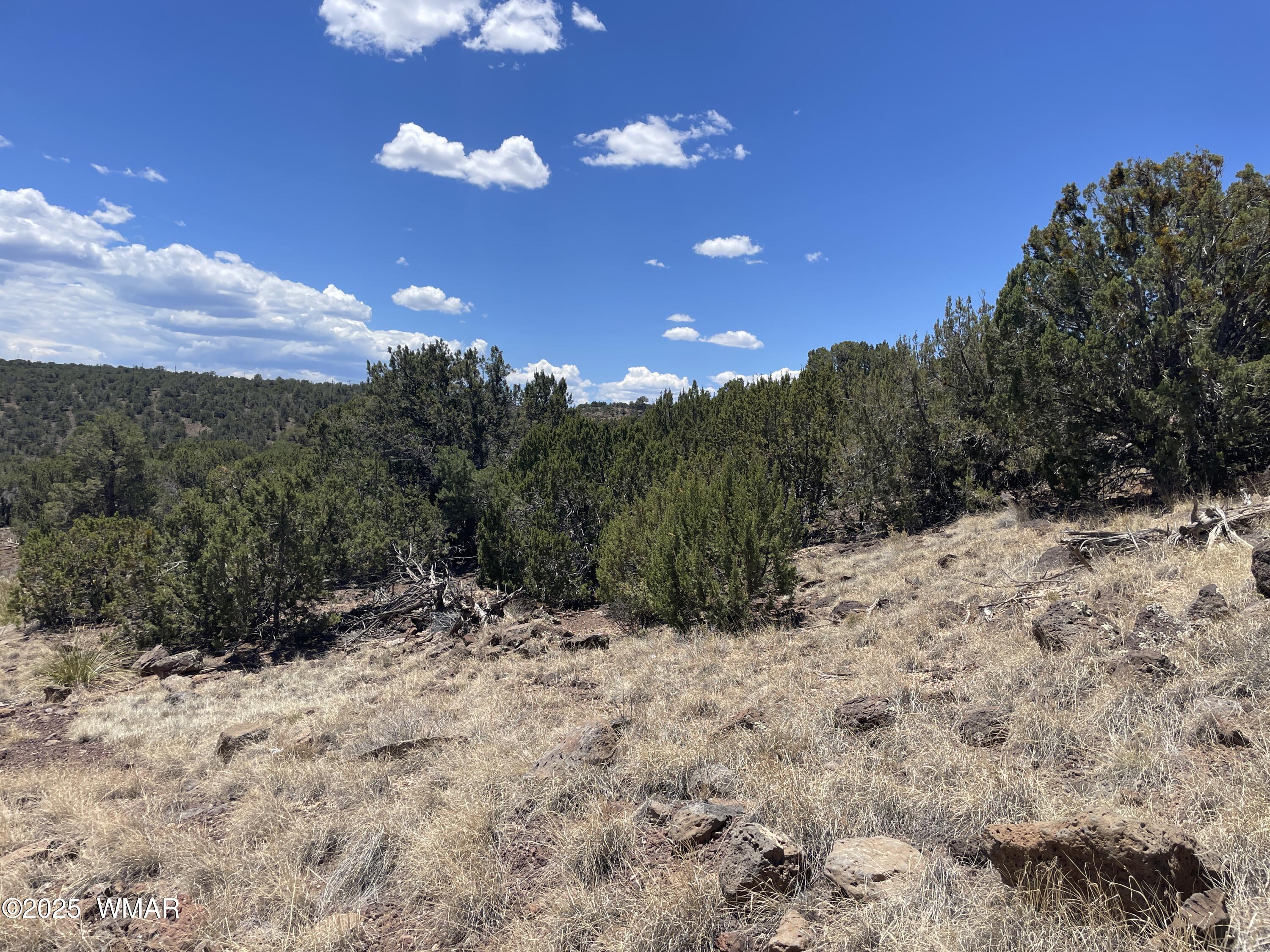15 Oak Drive, Concho, AZ 85924 — Photo 1 of 24
