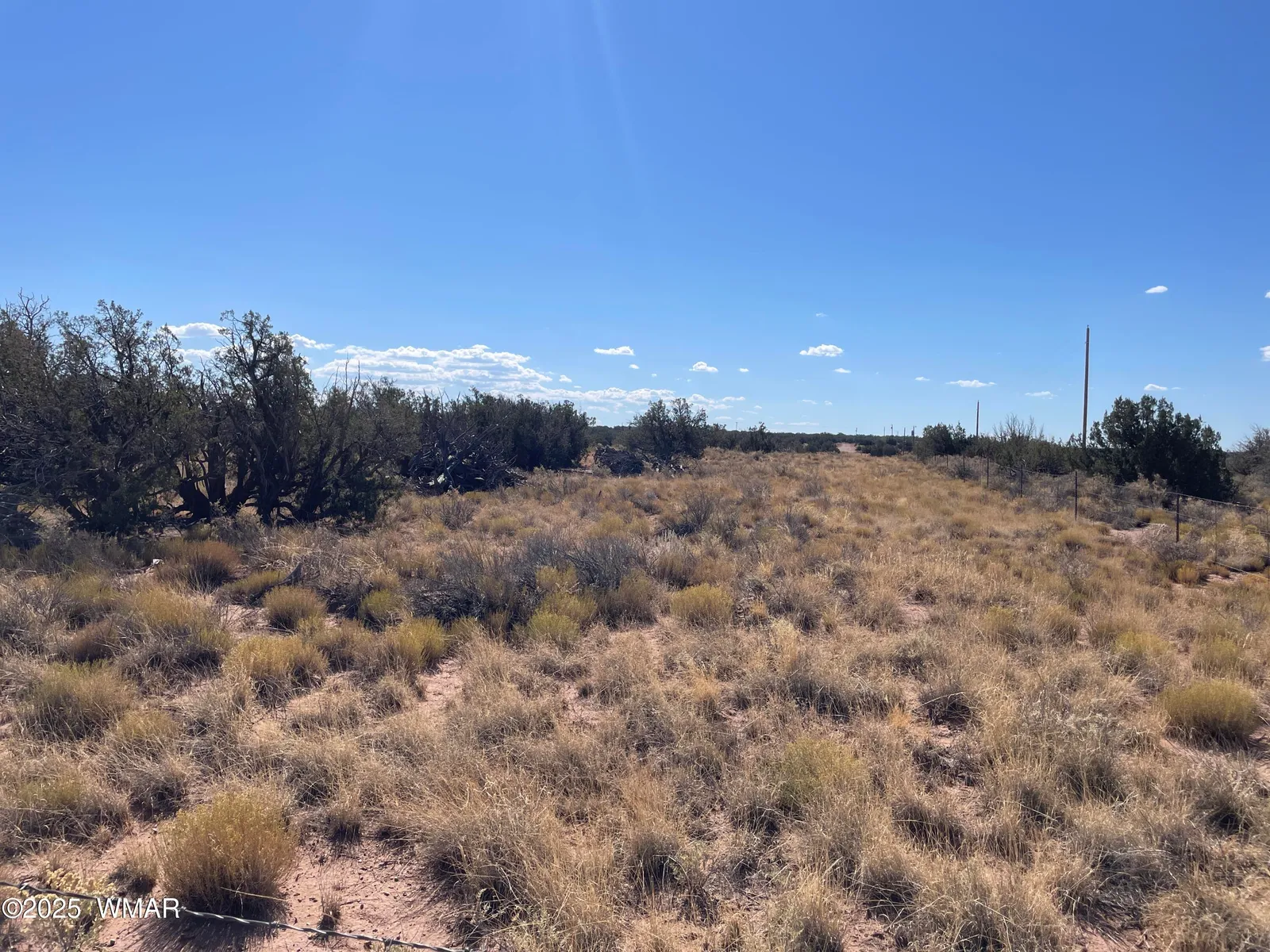8561 E Concho Highway, Snowflake, AZ 85937 — Photo 1 of 15