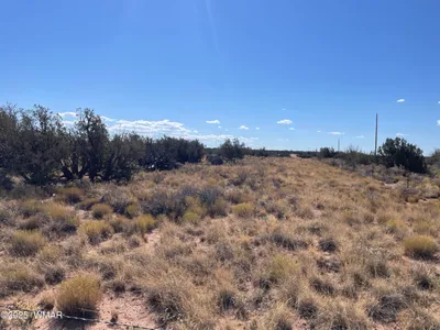 8561 E Concho Highway, Snowflake, AZ 85937