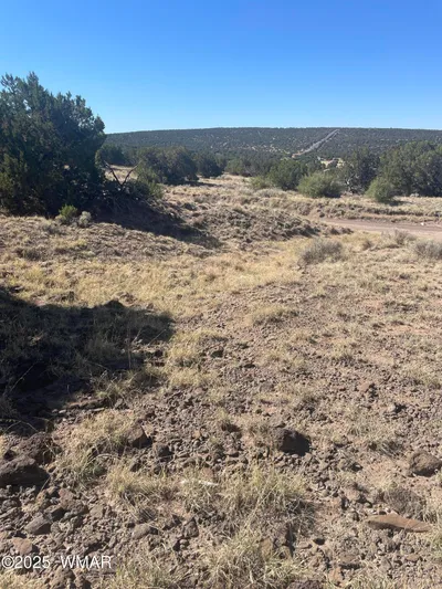 87 Lexington, Concho, AZ 85924