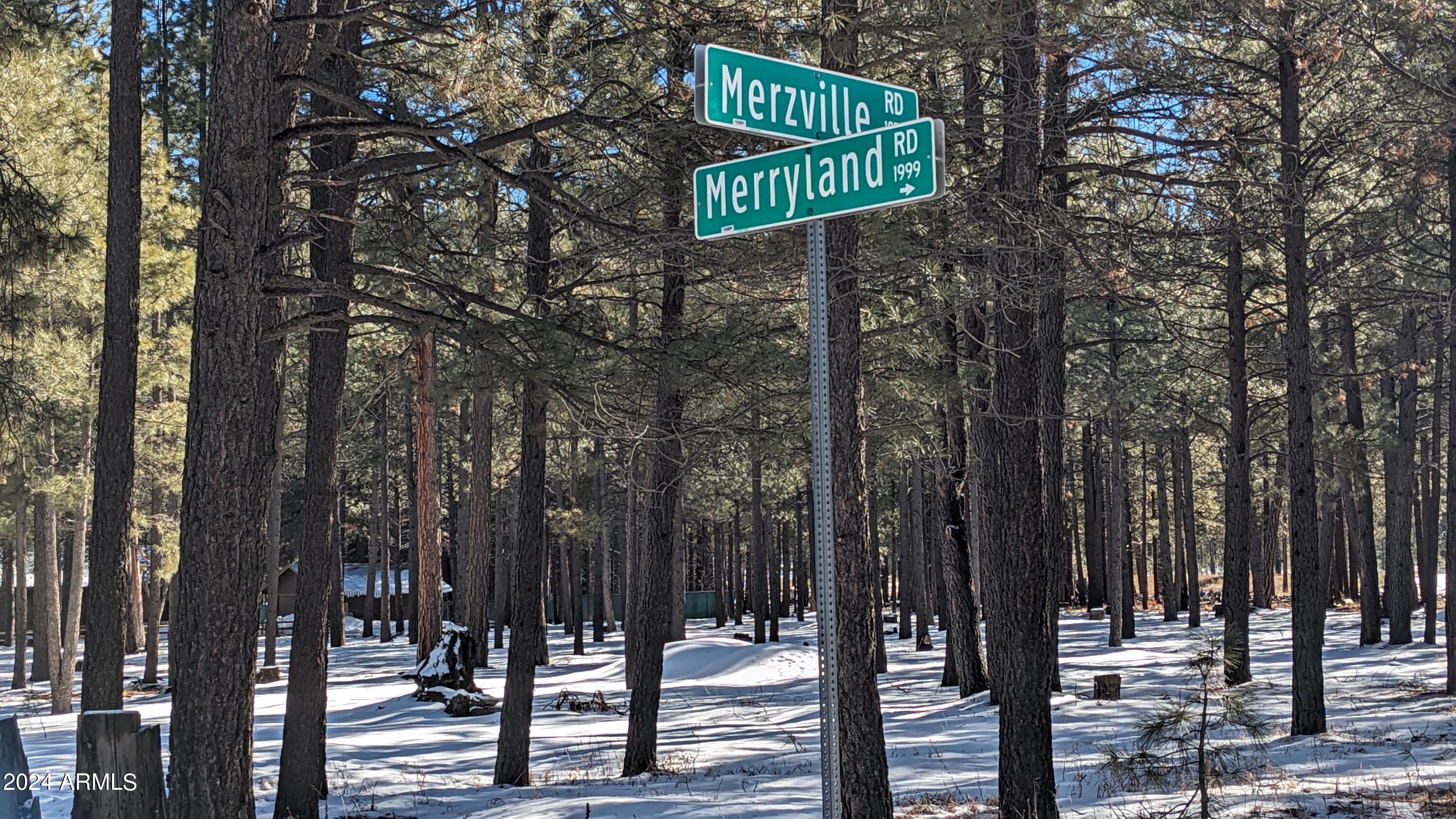 1960 MERRYLAND Road 233, Forest Lakes, AZ 85931 — Photo 1 of 9