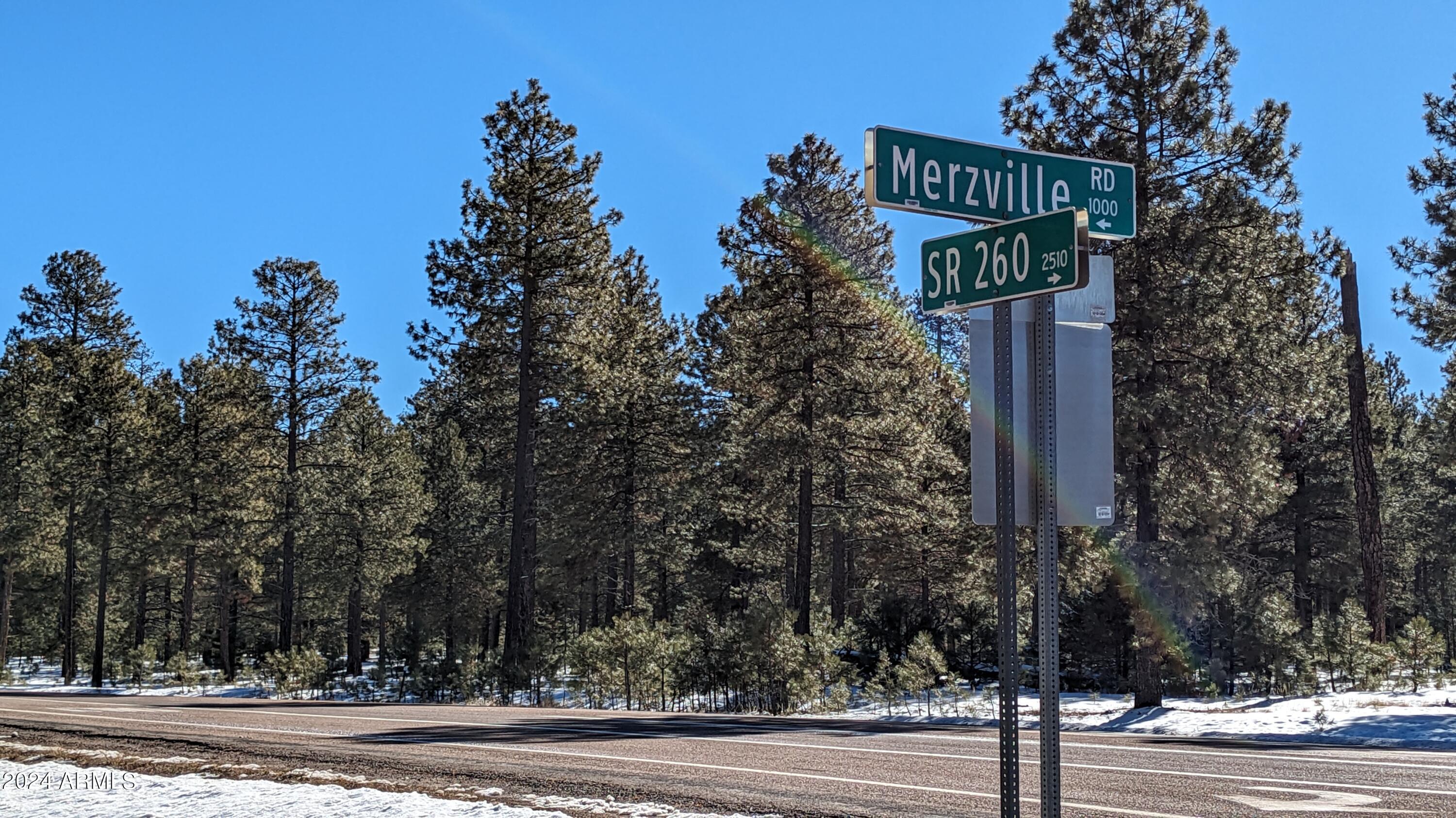 1019 MERZVILLE Road 234, Forest Lakes, AZ 85931 — Photo 1 of 11