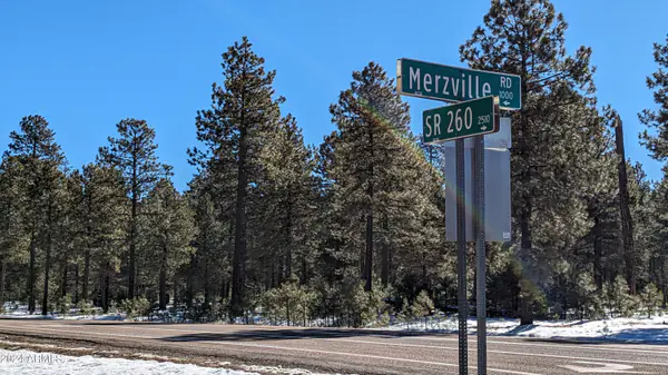 1019 MERZVILLE Road 234, Forest Lakes, AZ 85931