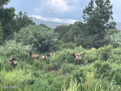 15 N3479, Vernon, AZ 85940