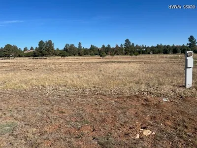 2310 Quarter Horse Trail, Overgaard, AZ 85933