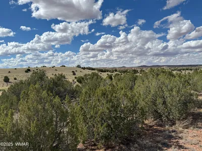 Thumbnail 13