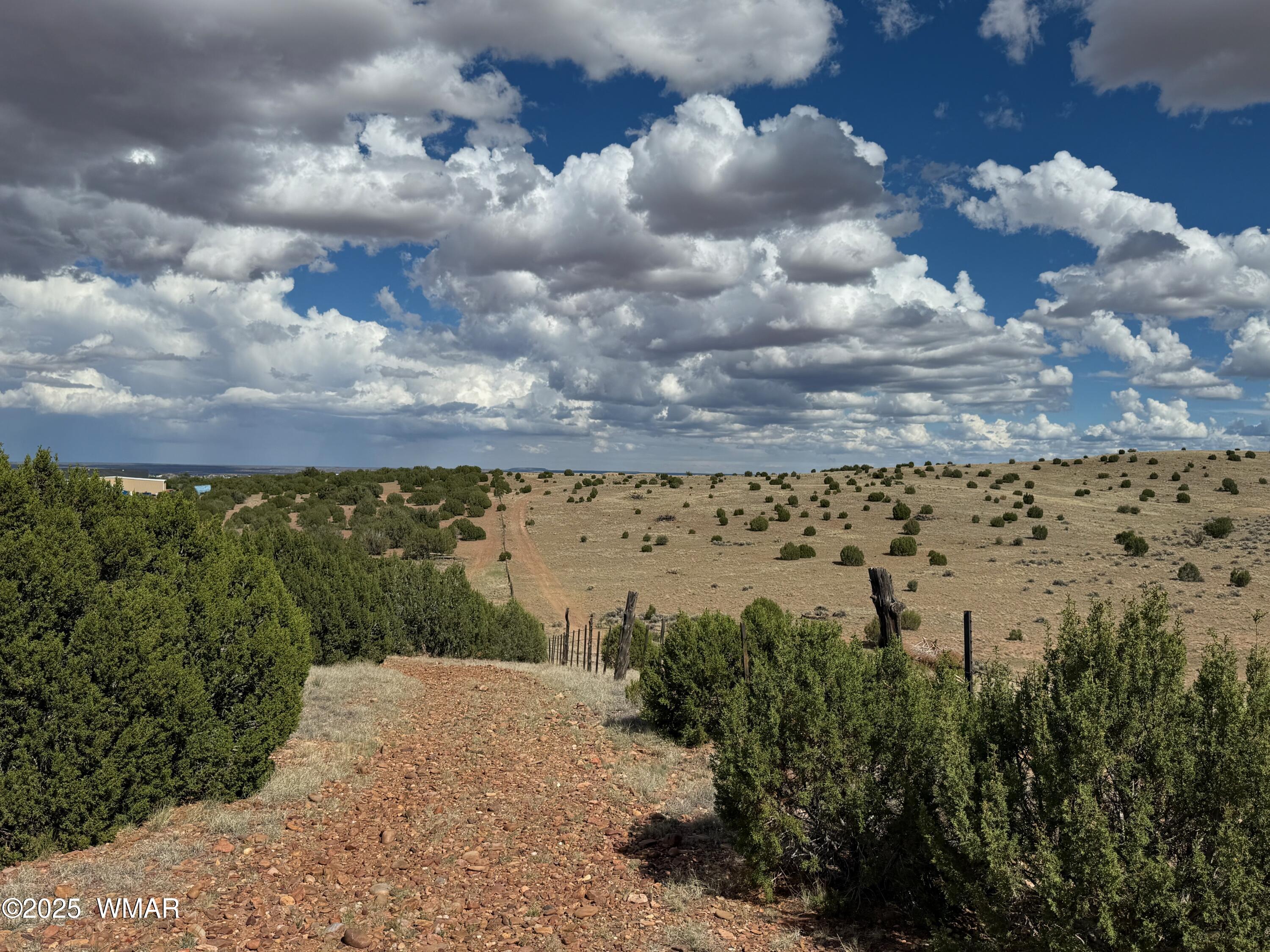 TBD Falcon Drive, Taylor, AZ 85939