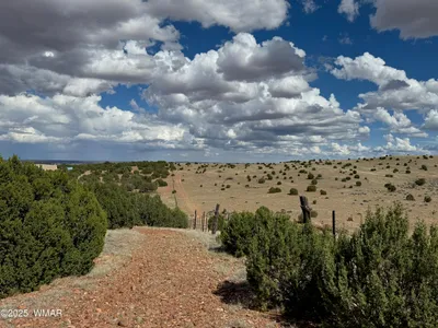 TBD Falcon Drive, Taylor, AZ 85939