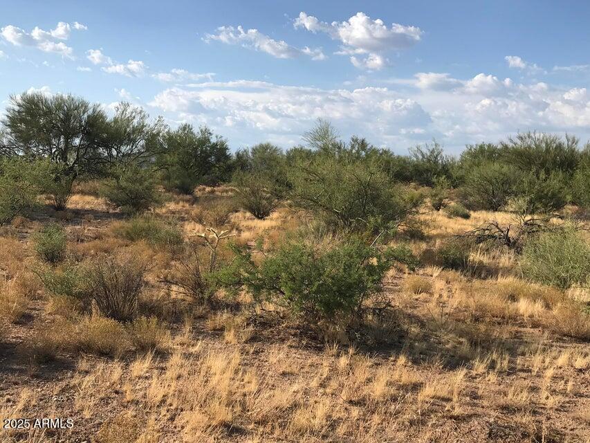29620 S State Route 89 -, Congress, AZ 85332 — Photo 1 of 12
