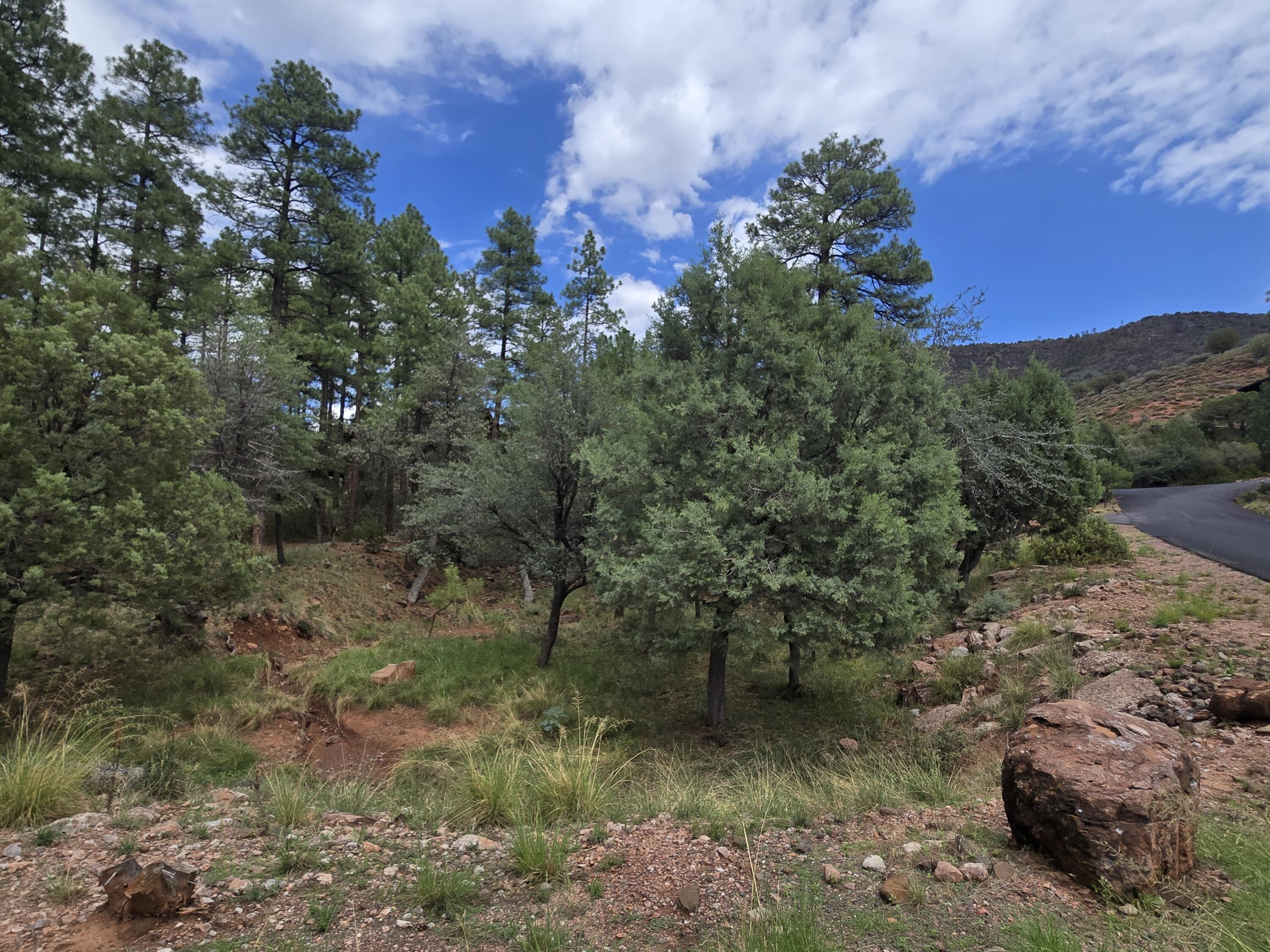 0 Lot #66, Pine, AZ 85544 — Photo 1 of 1