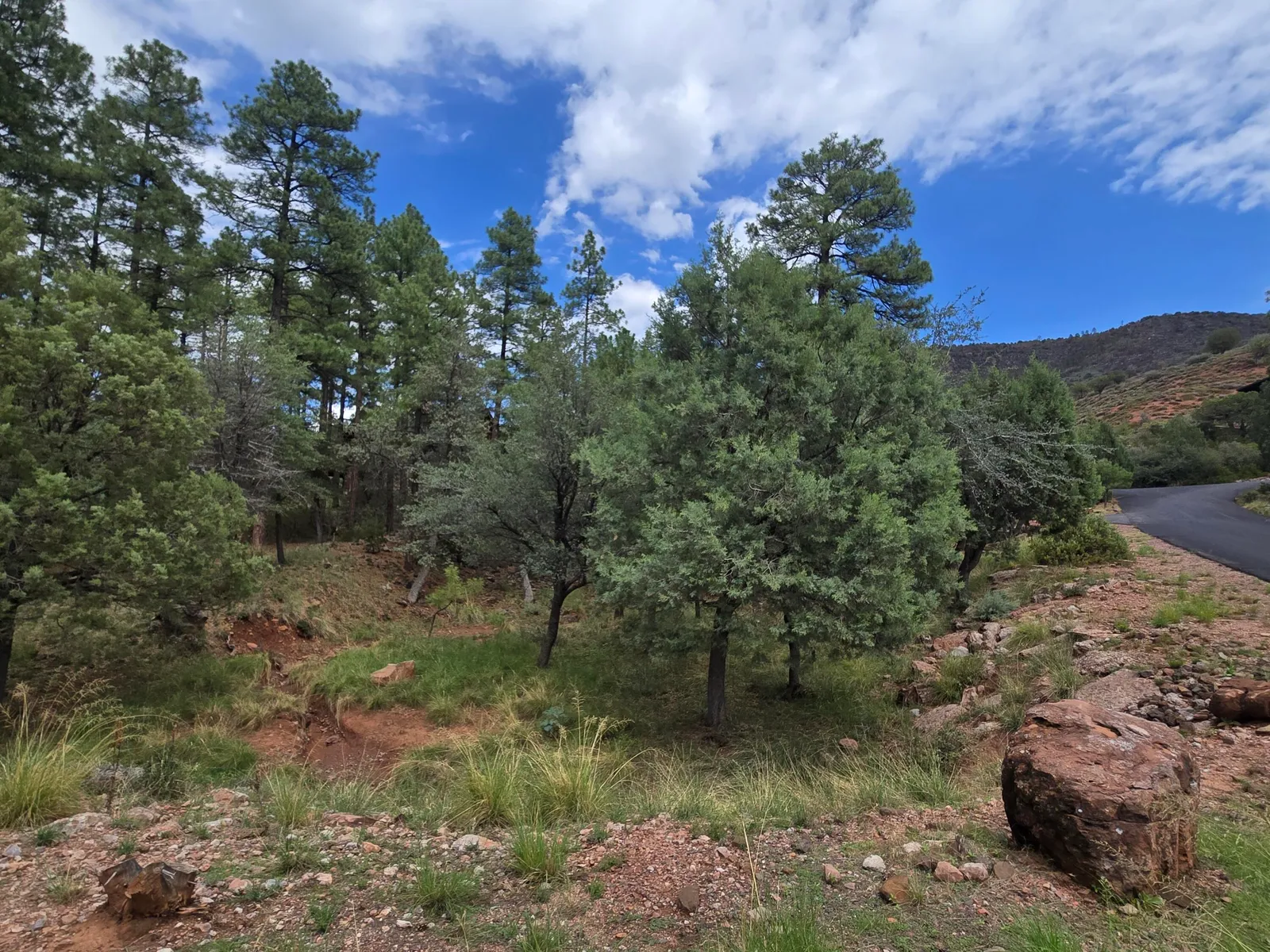 0 Lot #66, Pine, AZ 85544 — Photo 1 of 1