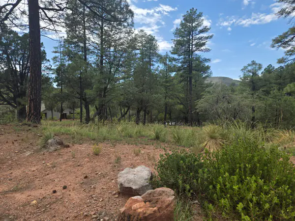 - Lot #67, Pine, AZ 85544
