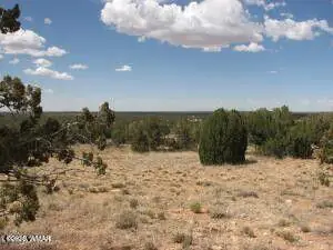 Lot 361 Chevelon Canyon Ranch, Heber, AZ 85928