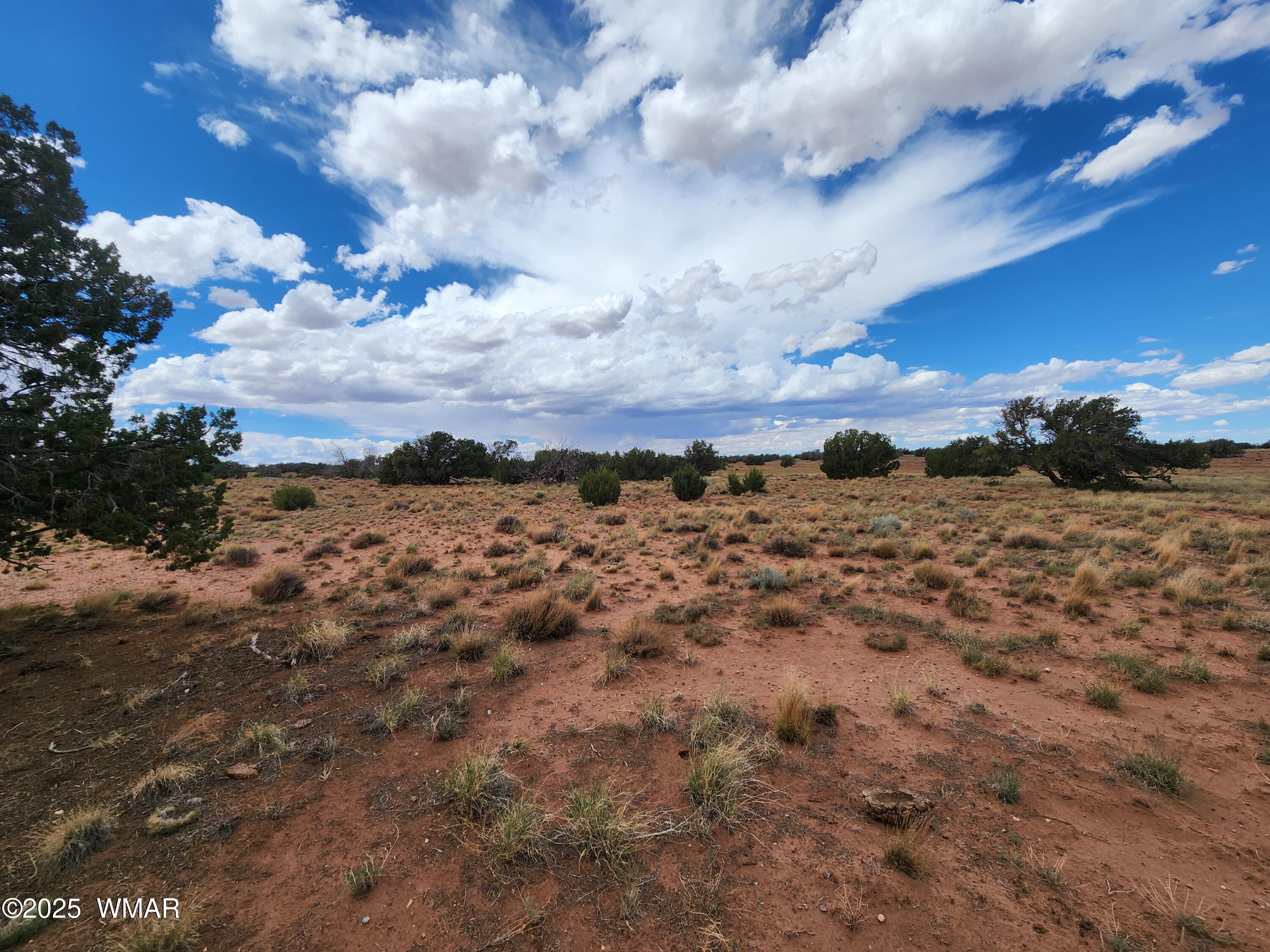 5386 County Road N5386, St. Johns, AZ 85936