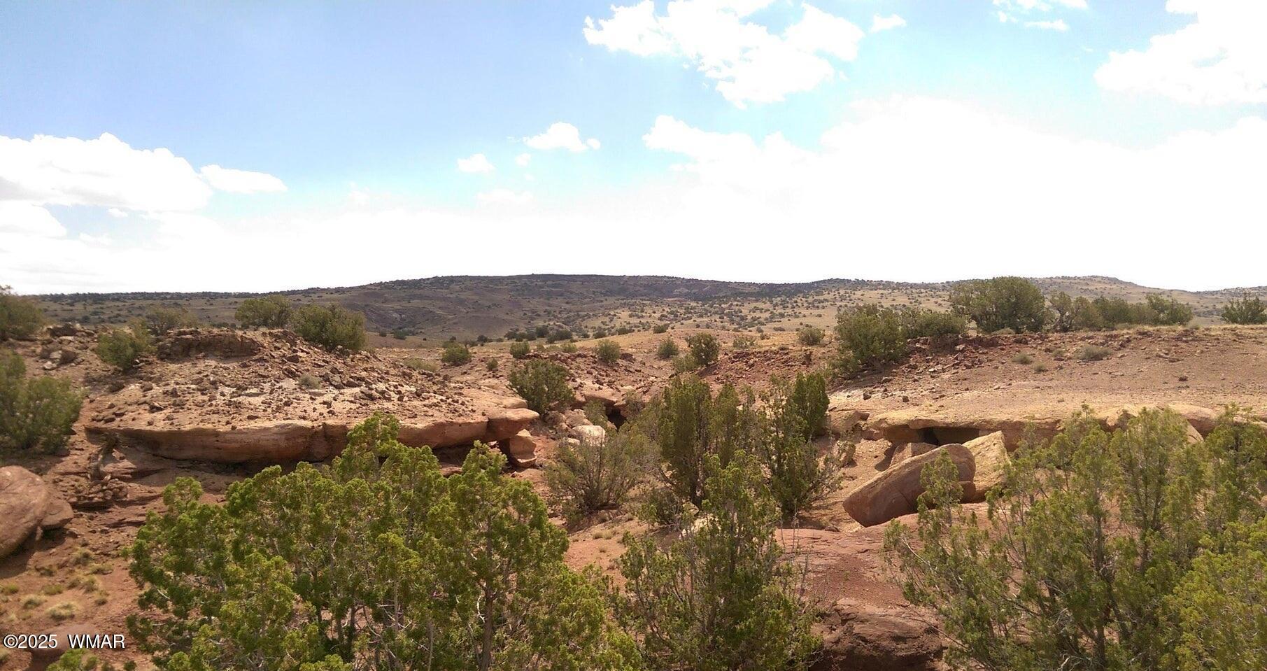 TBD CR 212-11-013A, Concho, AZ 85924