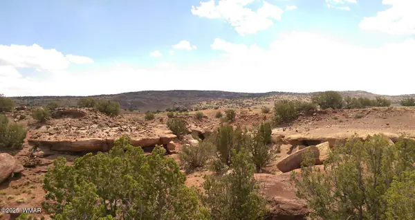 TBD CR 212-08-001E, Concho, AZ 85924