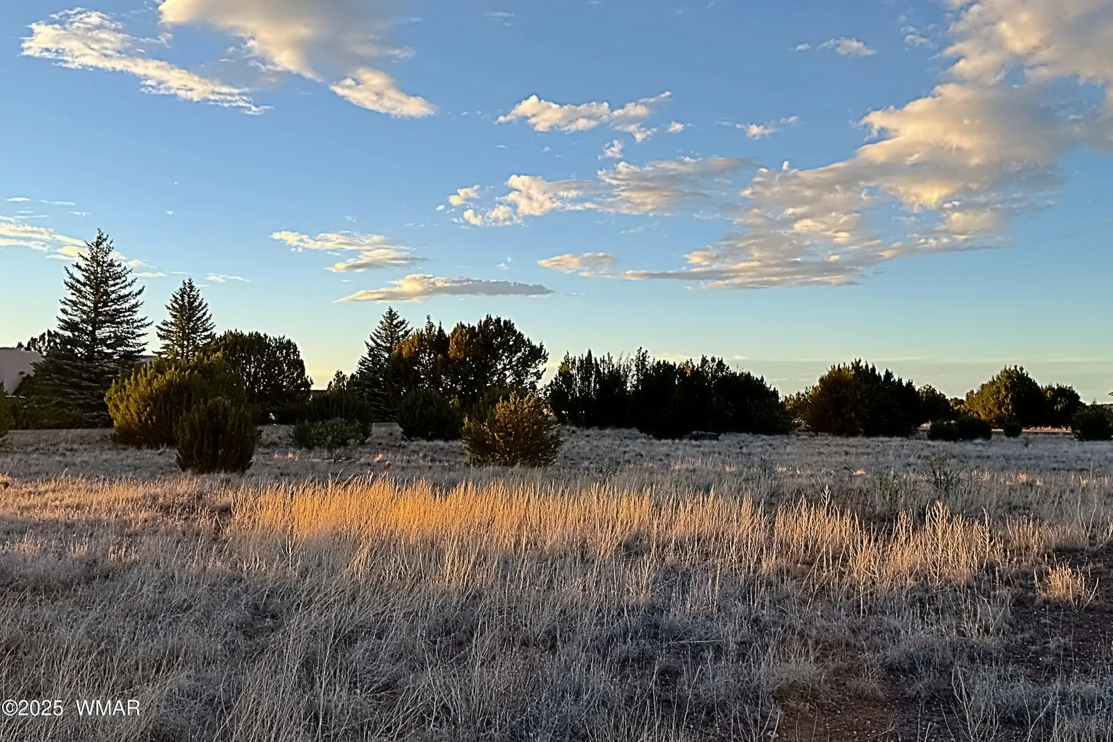 1930 Silver Lake Boulevard, Show Low, AZ 85901 — Photo 1 of 14