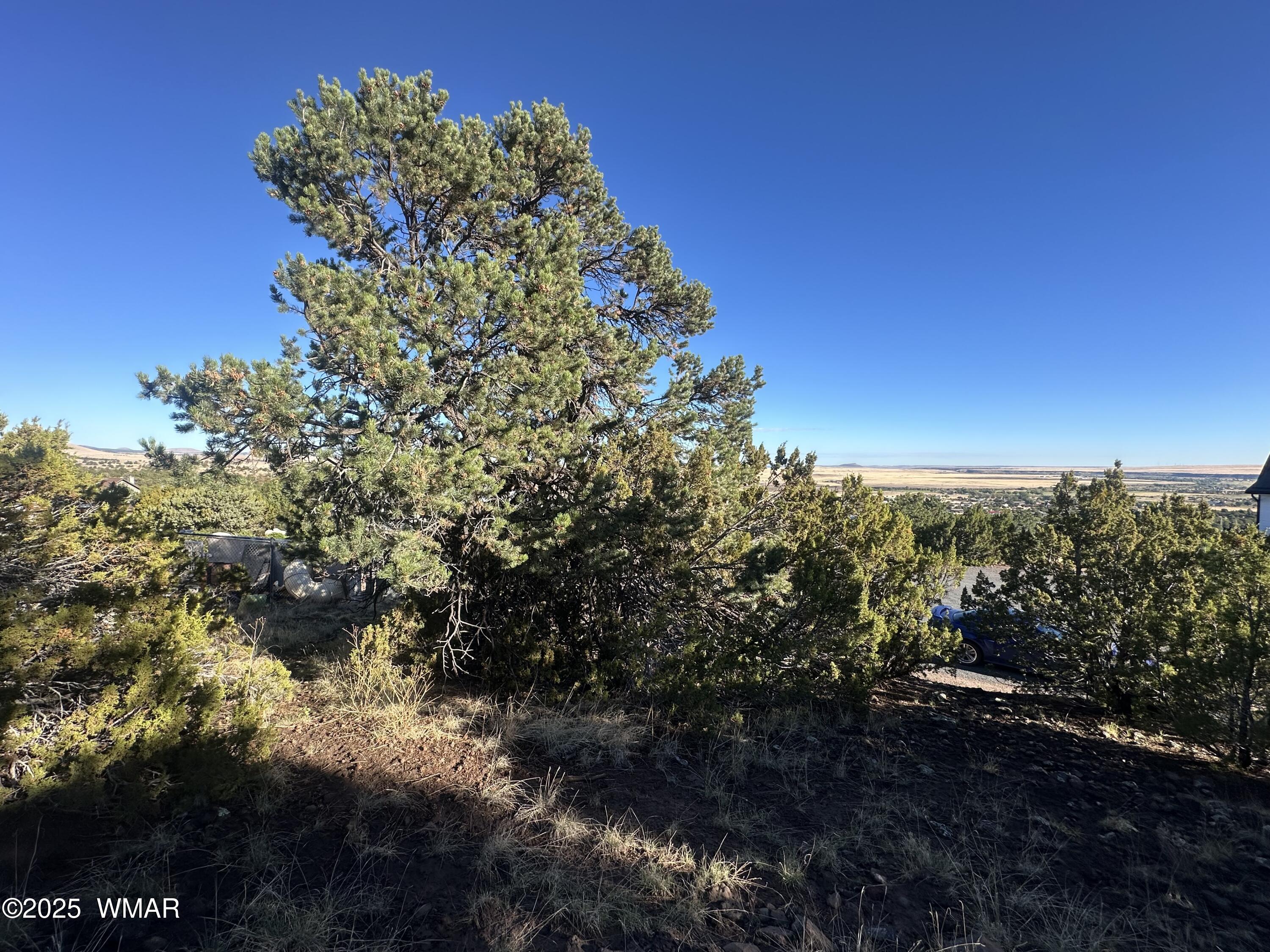 1665 W Valley Vista Drive, Eagar, AZ 85925