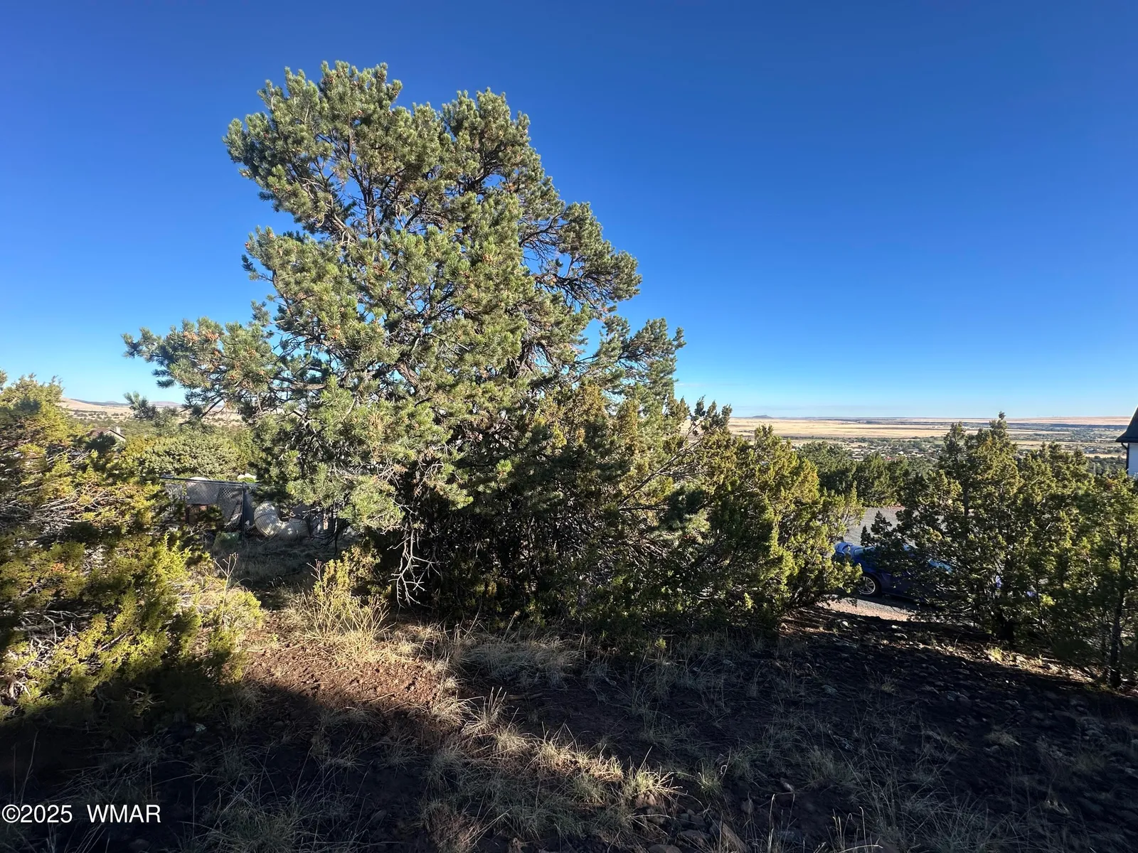 1665 W Valley Vista Drive, Eagar, AZ 85925 — Photo 1 of 4