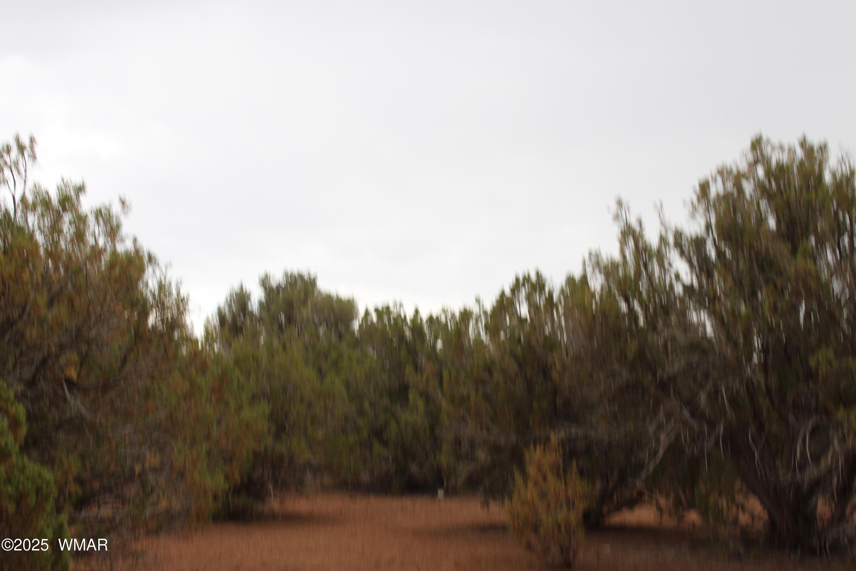 Sec 8 T11N, R22E:, Port Of Parcel 3 Survey, White Mountain Lake, AZ 85912 — Photo 1 of 6