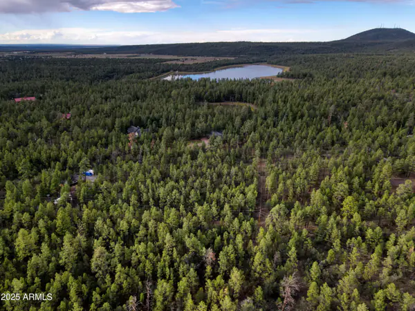 --- N --- Drive -, Lakeside, AZ 85929