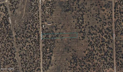 4141 W Juniper Road, Snowflake, AZ 85937
