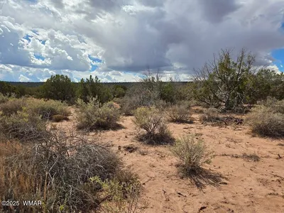 4012 Colt Road, Snowflake, AZ 85937