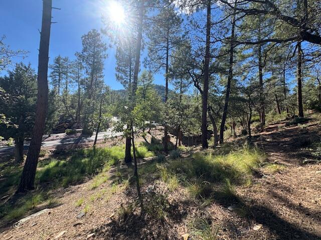 Lot 33 W Sage Court, Pine, AZ 85544 — Photo 1 of 7
