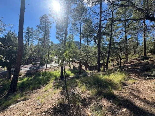 Lot 33 W Sage Court, Pine, AZ 85544 — Photo 1 of 4