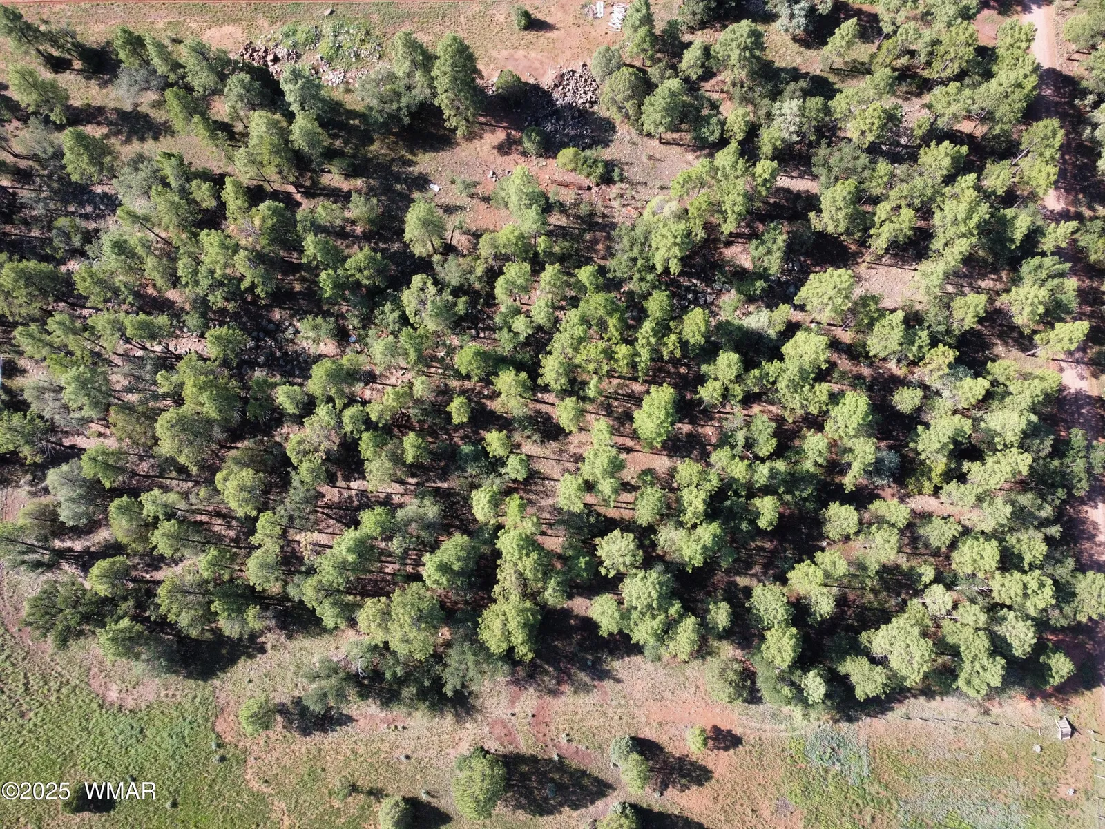 2651 Alisa Lane, Lakeside, AZ 85929 — Photo 1 of 4