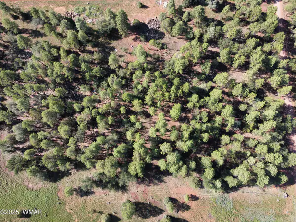 2651 Alisa Lane, Lakeside, AZ 85929