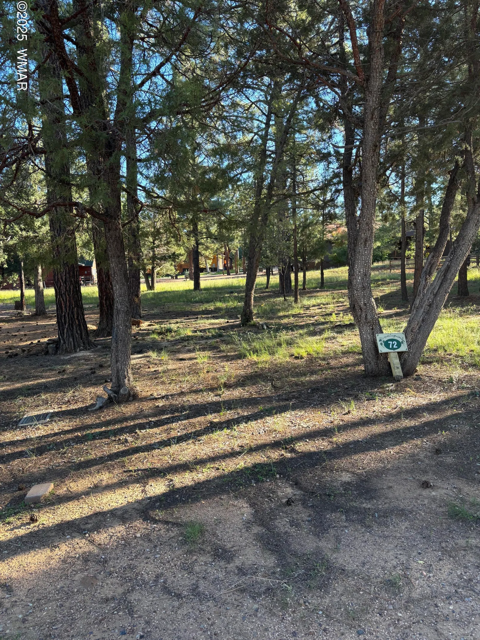 5003 Winter Hawk Court, Lakeside, AZ 85929 — Photo 1 of 5