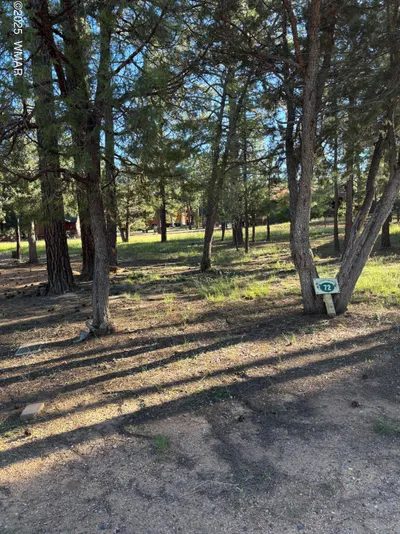 5003 Winter Hawk Court, Lakeside, AZ 85929