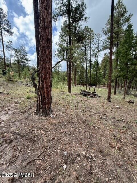 7 Eric Lane 28, Alpine, AZ 85920 — Photo 1 of 11