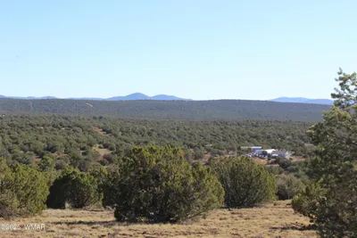 6 County Road 8052, Concho, AZ 85924