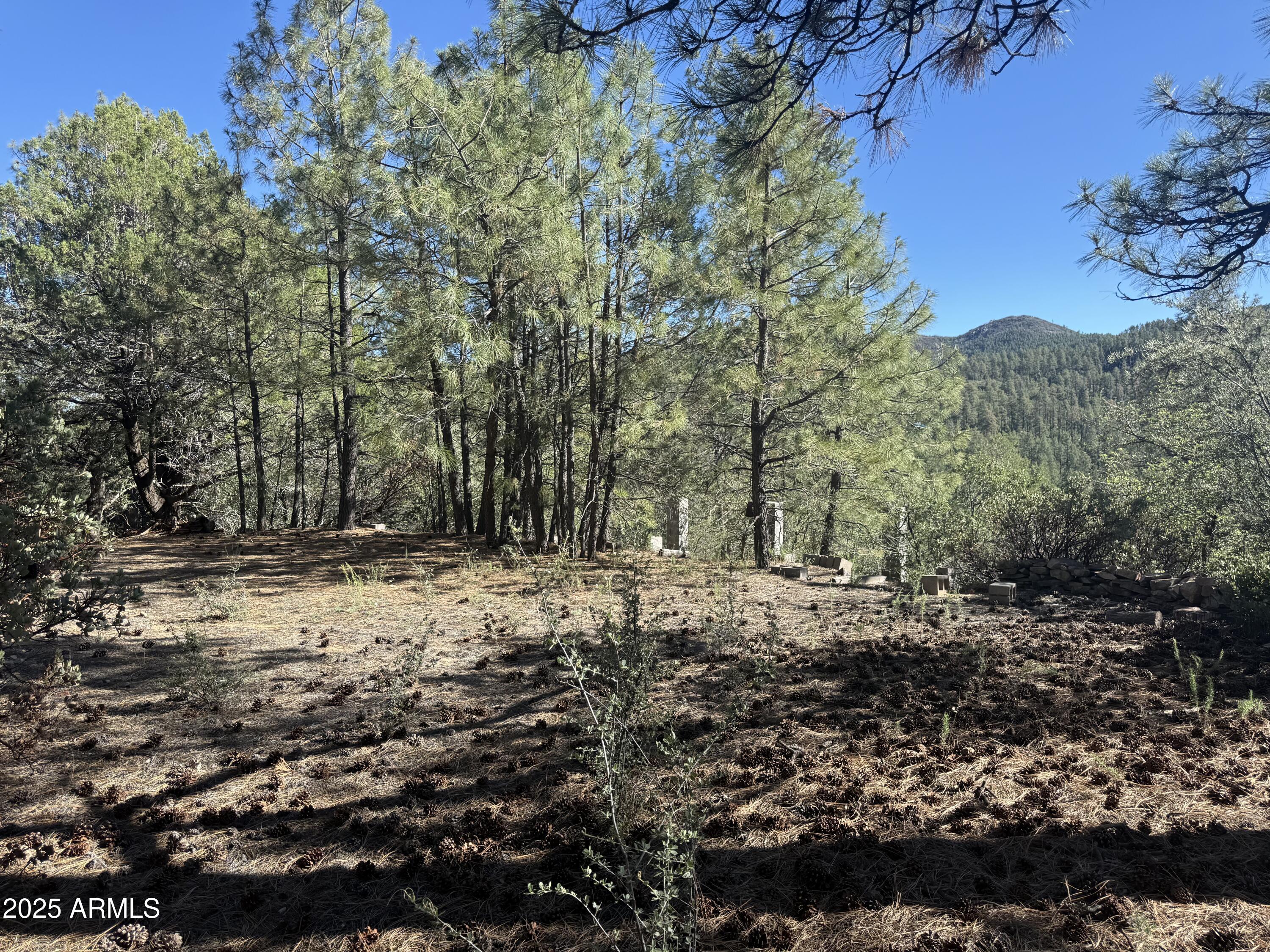 6536 E 90 AND 9 Road -, Crown King, AZ 86343 — Photo 1 of 16