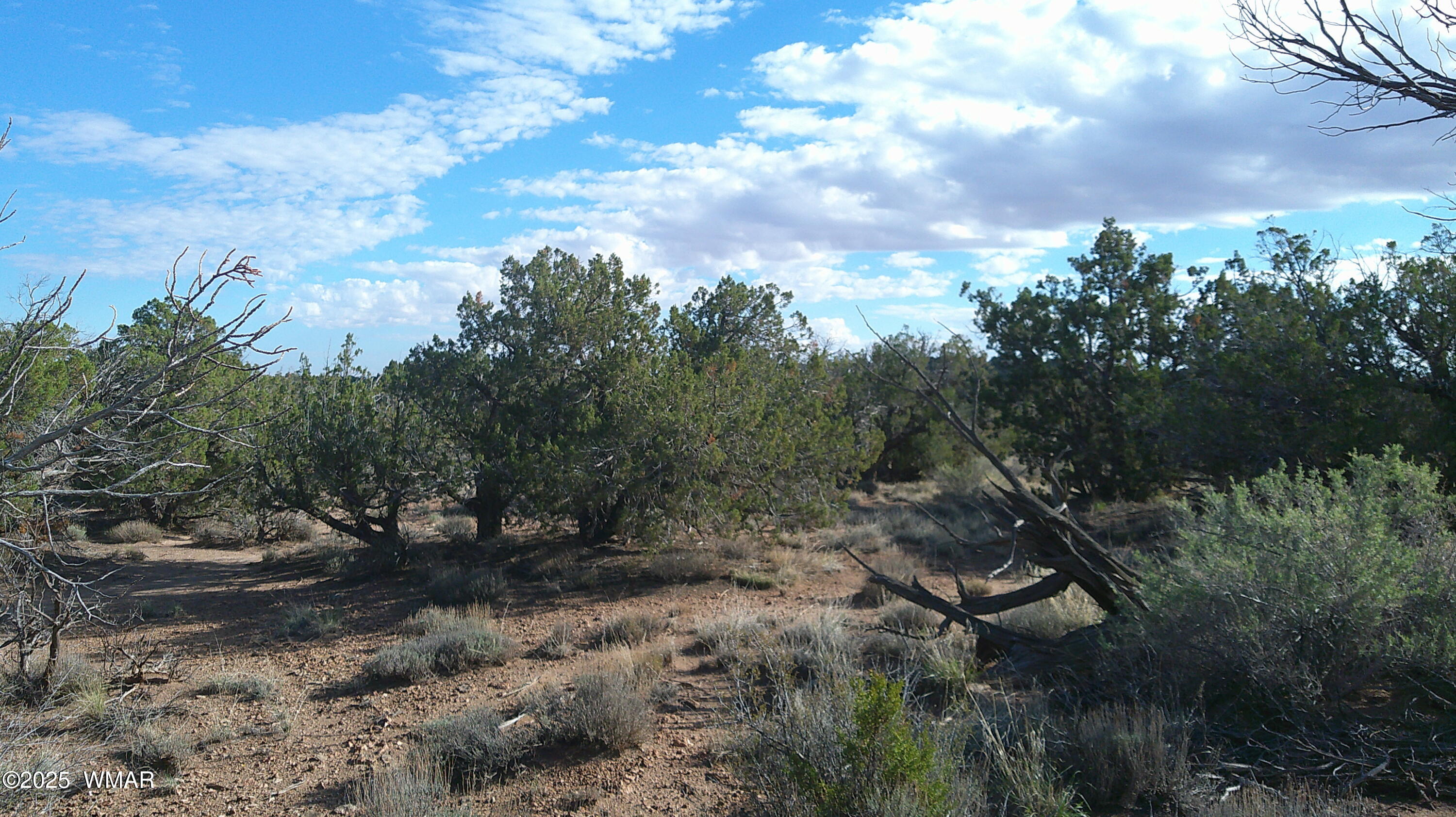 4123 W Juniper Road, Snowflake, AZ 85937