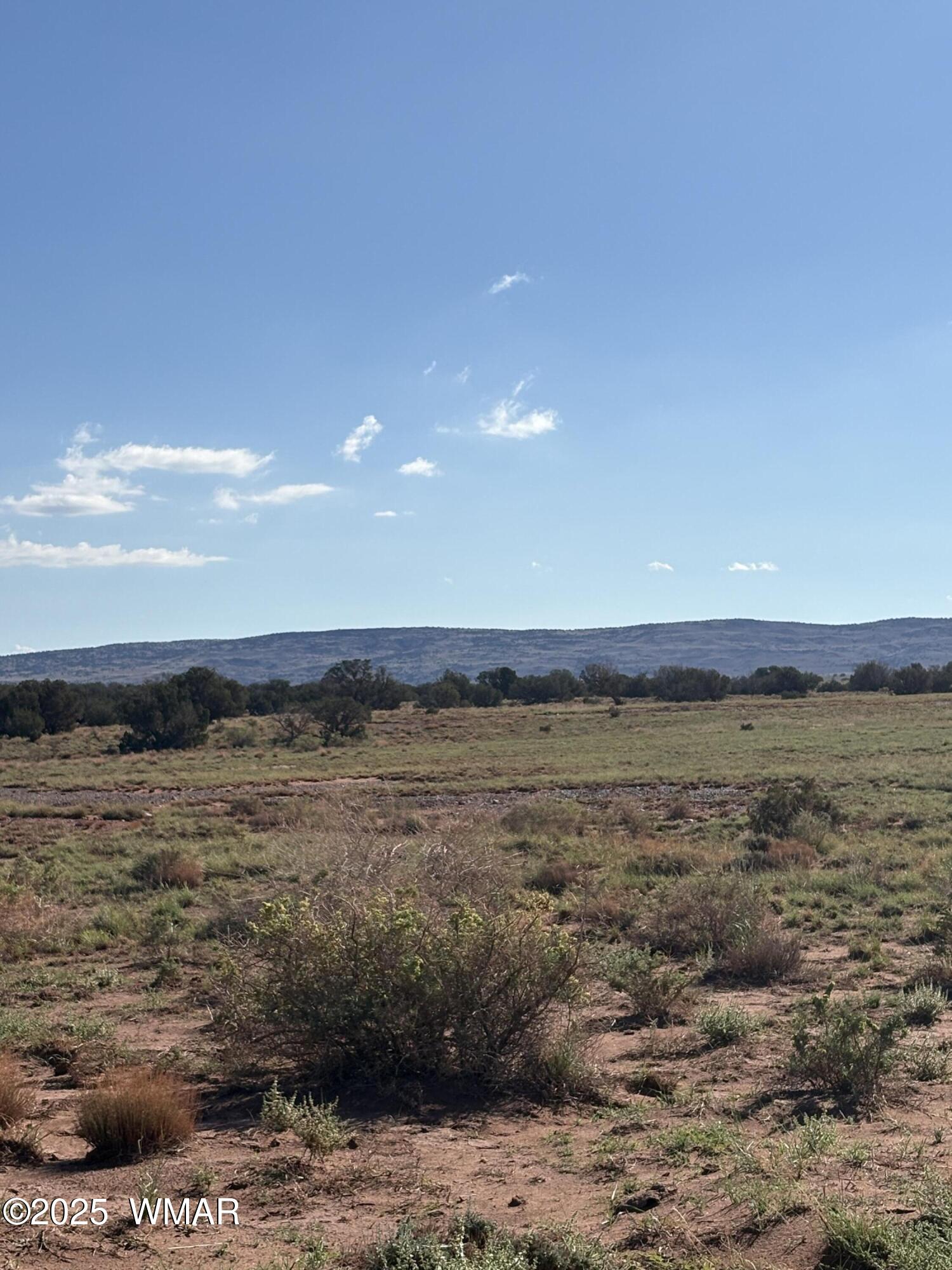 A County Road 5576, Concho, AZ 85924